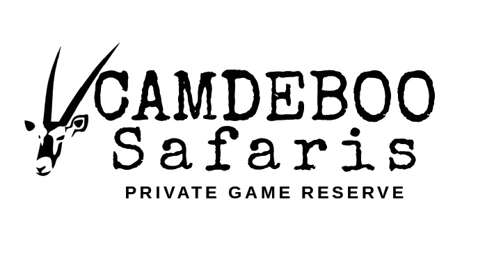 camdeboo safaris